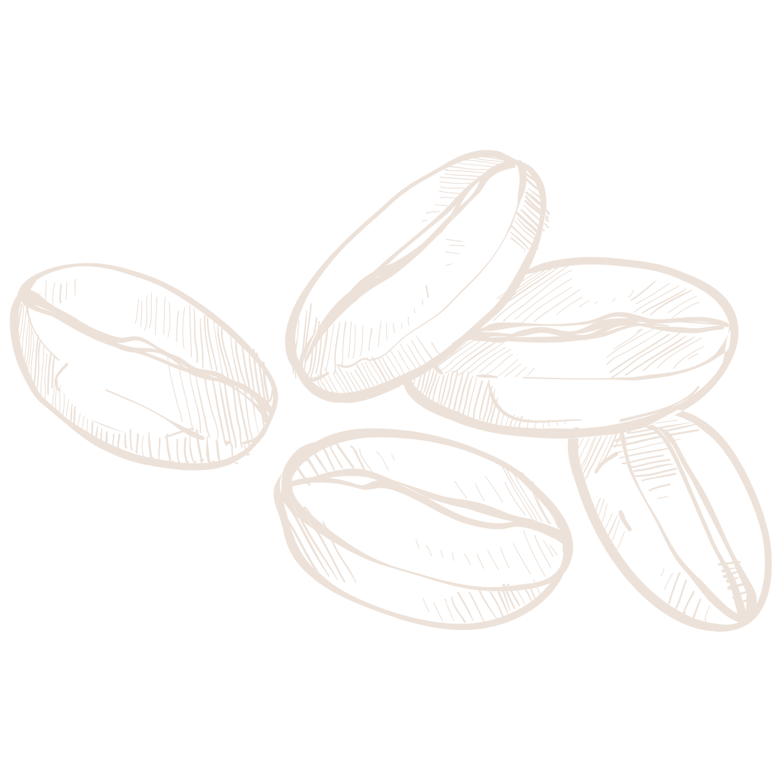 Premium Beans Icon
